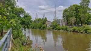 Canal San Fernando